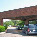 Bird Netting under teller canopy