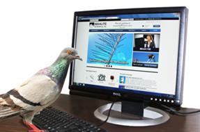 sending digital files