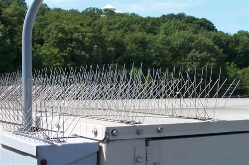 Nixalite E-Spike Bird Spikes installed on Air Conditioner