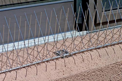 Nixalite E-Spike Bird Spikes on Window Sill