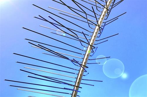 Nixalite Bird Spikes Model S Strip on blue background