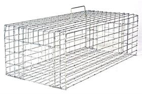 Small Pigeon Trap 24x12x8