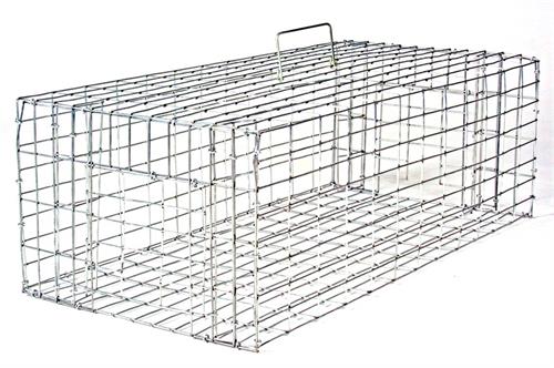 Small Pigeon Trap 24x12x8