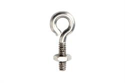 Small Eyebolt w/Nut