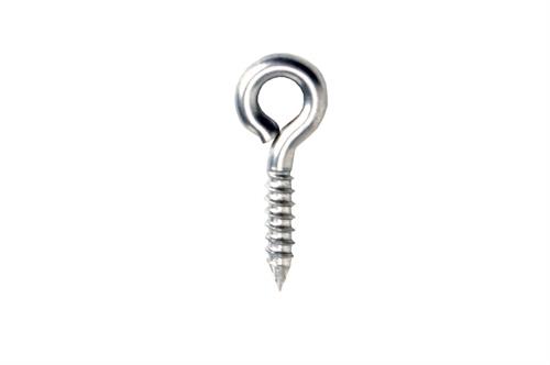 small stainless screw eye