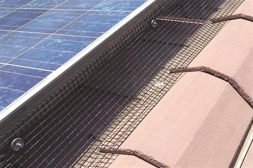 Solar Guard Bird Exclusion Screen install