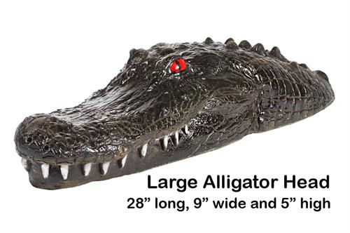 Large Alligator Head