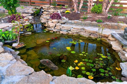 Alligators protecting pond