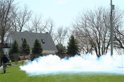 Person fogging a yard