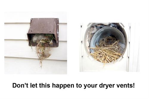 Clogged up dryer vents