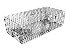 Medium Repeating Sparrow Trap 24x12x8