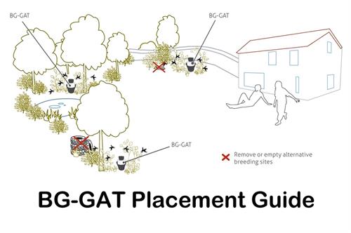 BG-GAT placement guide