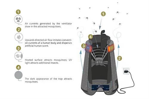 BG Home features diagram