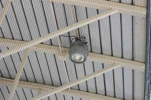 Fixture under Bird Net