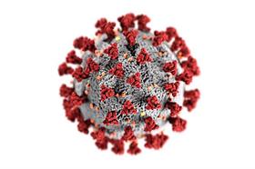 Coronavirus COVID-19