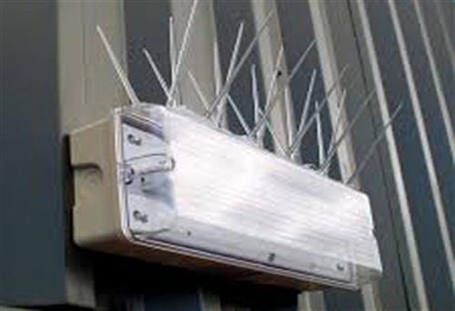 Nixalite Pigeon plastic wide strip on light fixture