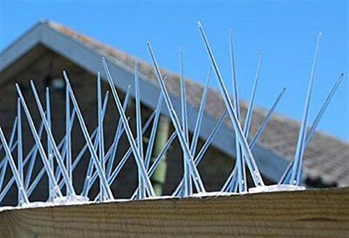 Nixalite Pigeon plastic wide strip installed